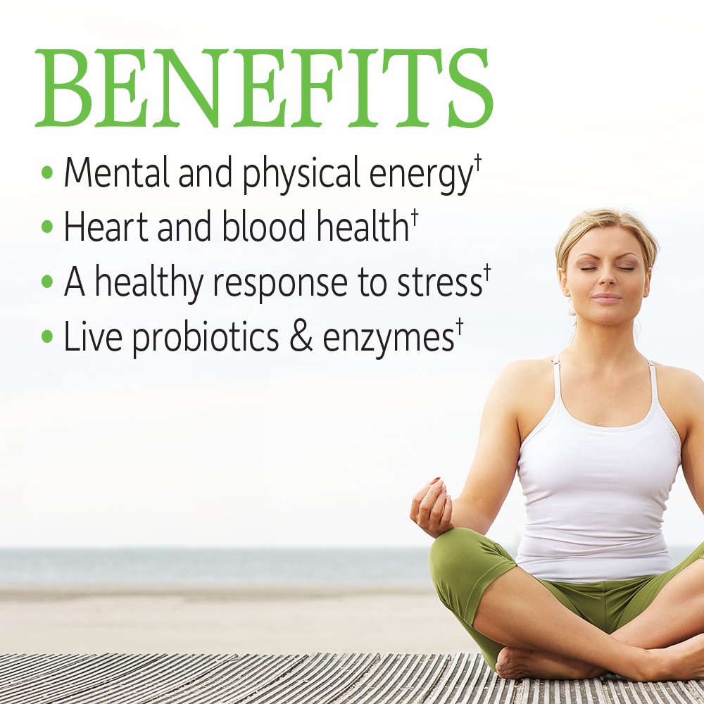 Garden of Life Vitamin B Complex, 120 Vegan Capsules, High Potency Vitamins for Energy & Metabolism with B6, Folate & B12 - OmniHealth US