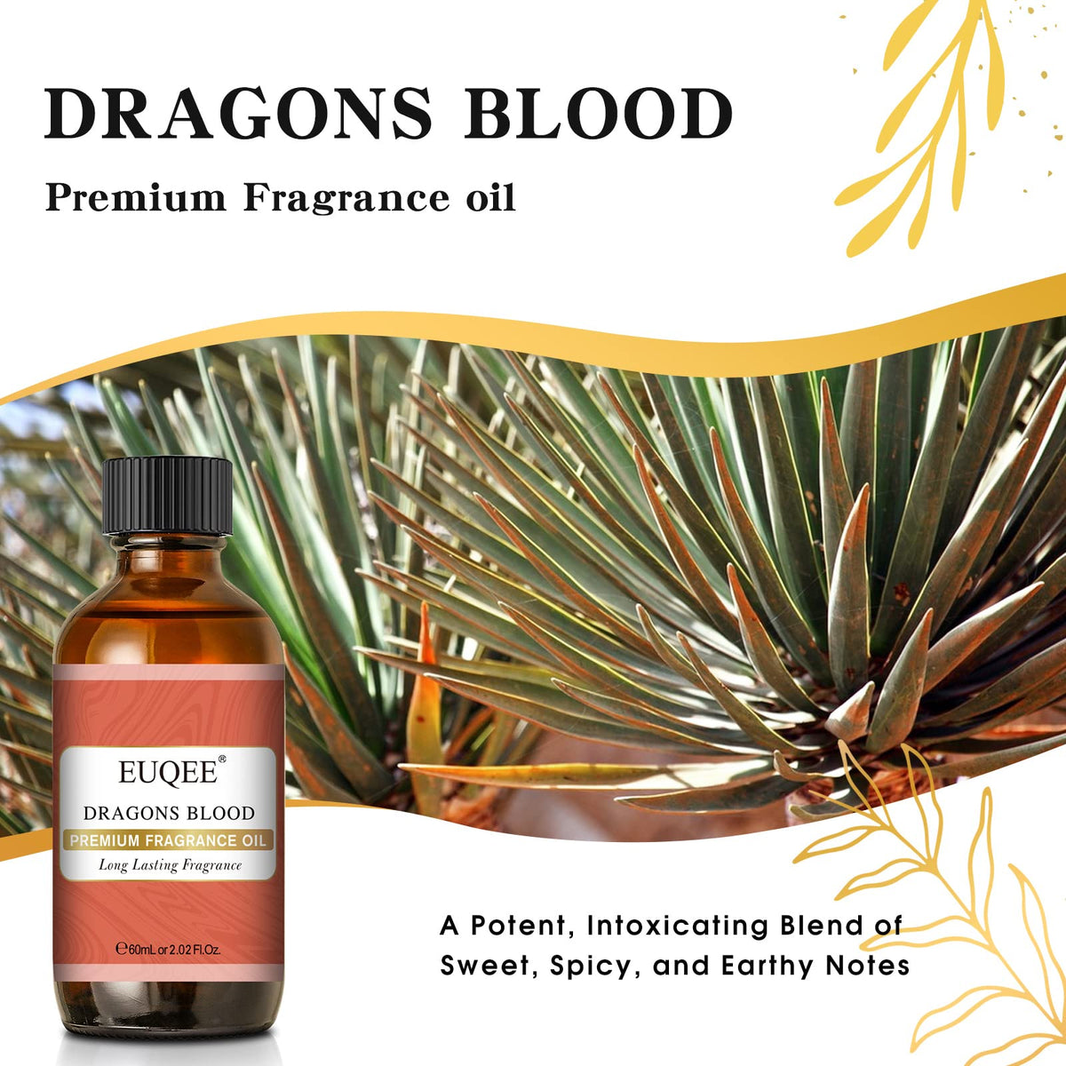 EUQEE Dragons Blood Fragrance Oils, 60ml Scent Essential Oils with Glass Dropper for Diffusers EUQEEBuy Supplements Australia