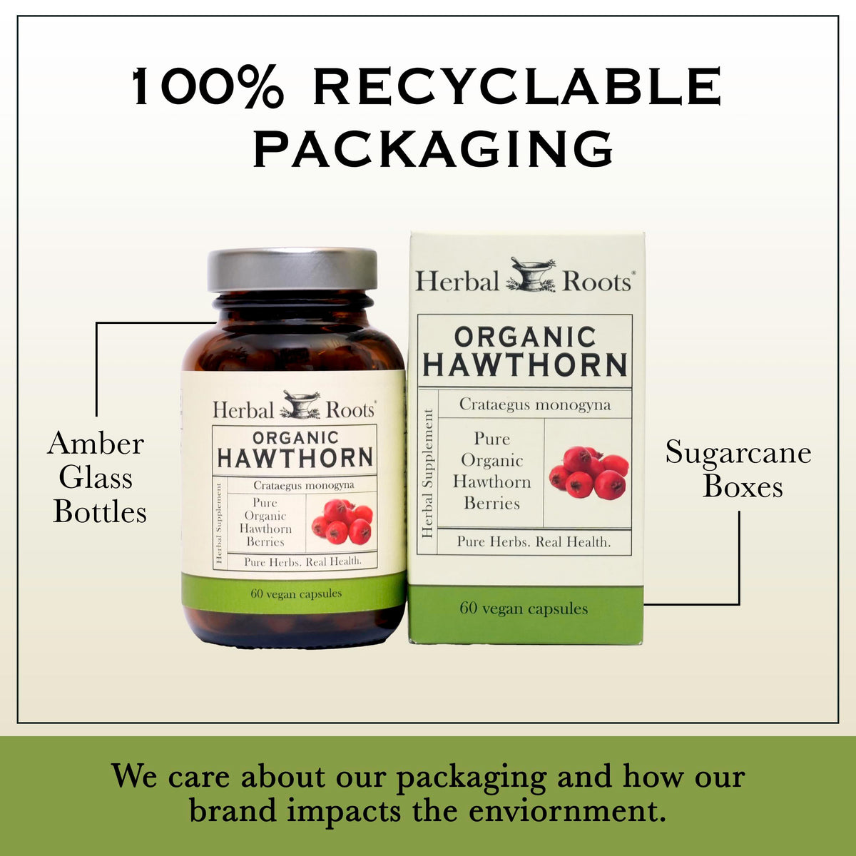 Herbal Roots Organic Hawthorn Berry Capsules | Extra Strength 1,200mg per Serving | 60 Vegan Capsules - OmniHealth US