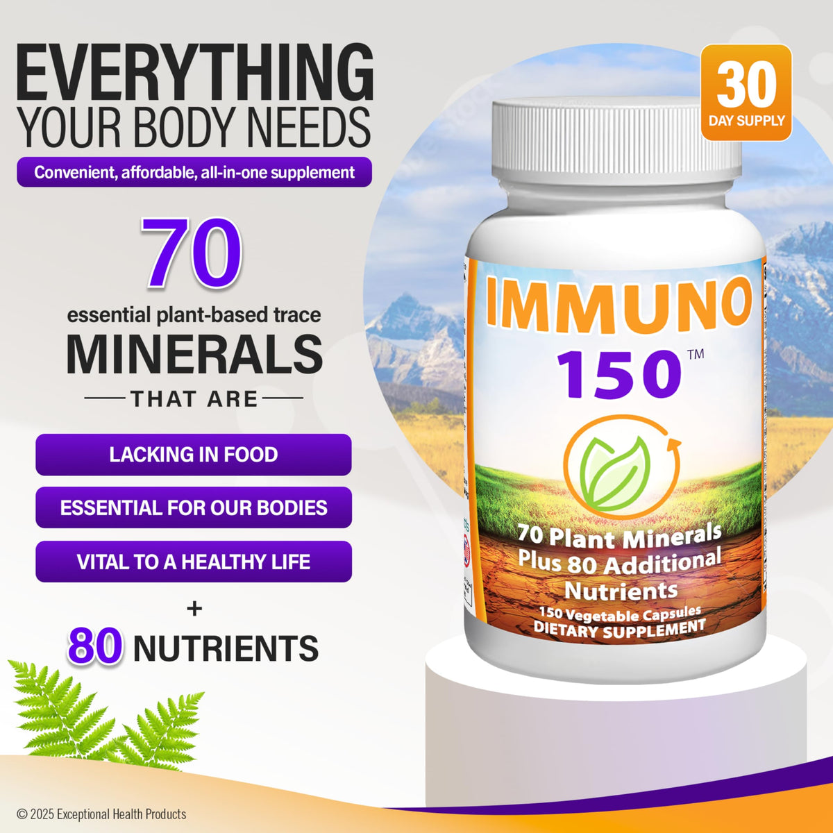Immuno 150, Immune Support Supplement, Packed with 70 Plant Minerals, 13 Essential Vitamins and 68 Additional Nutrients-150 Vegetable Capsules - OmniHealth US