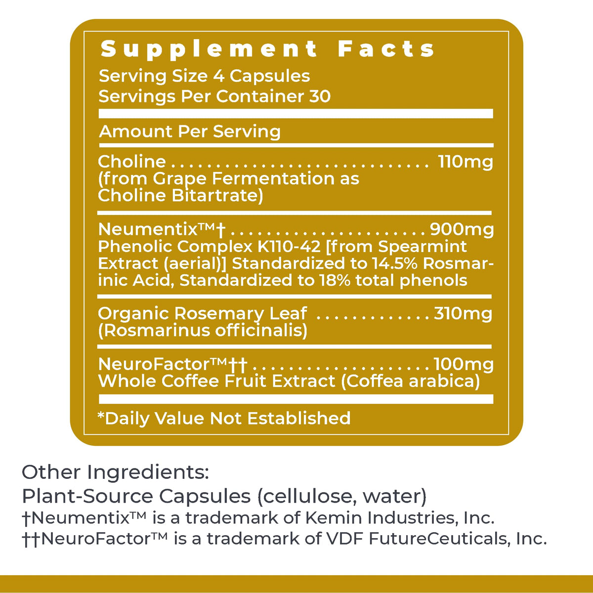 Premier Research Labs Cognitropic - Supplements for Memory and Focus, Focus Supplement, Brain and Memory Power Boost, Clarity Vitamins - OmniHealth US