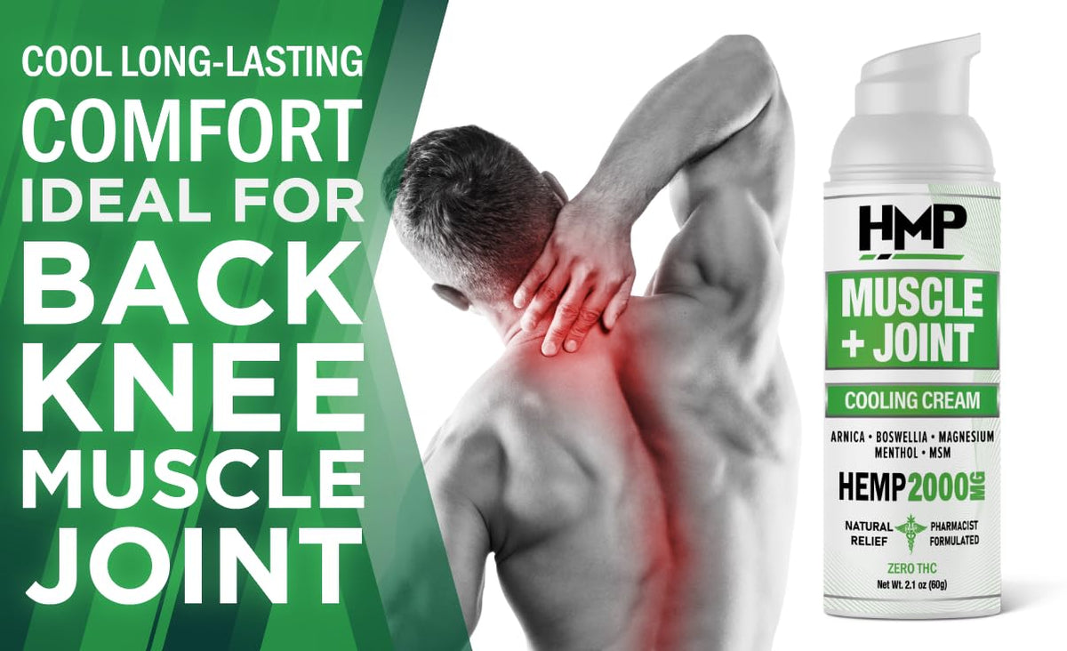 HMP BRANDS Hemp Cream Muscle & Joint Support 2000MG Hemp Discomfort Relief Formula w Menthol Ideal for Knee Muscle Joint Back Shoulder Elbow Maximum Joint Support, Natural Formula Made in USA (3 Pack) - Maple Wellness Supplements