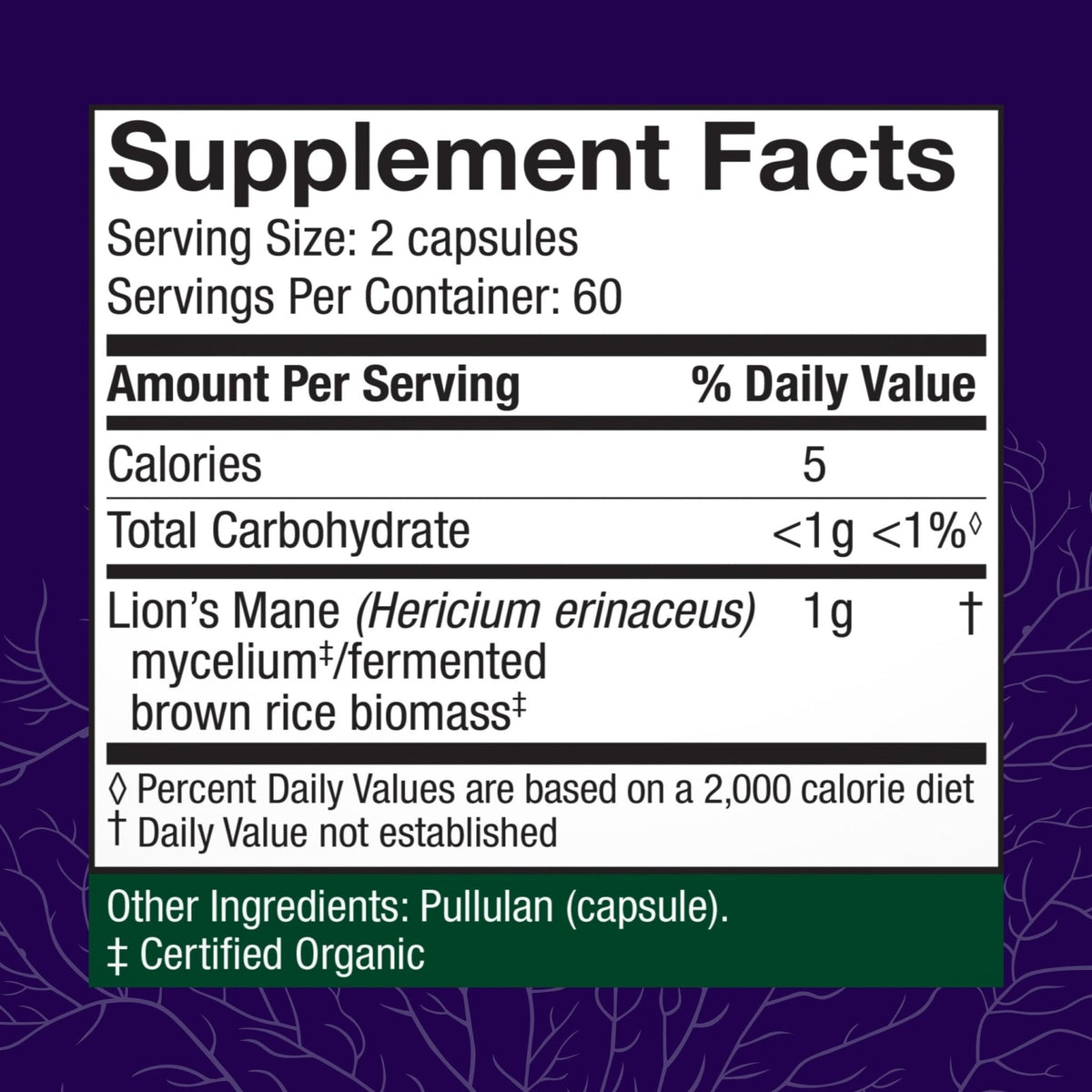 Host Defense Mushrooms Lion's Mane - Supplement Capsules for Brain Health Support - Mushroom Support for Focus & Memory Function - Maple Wellness Supplements