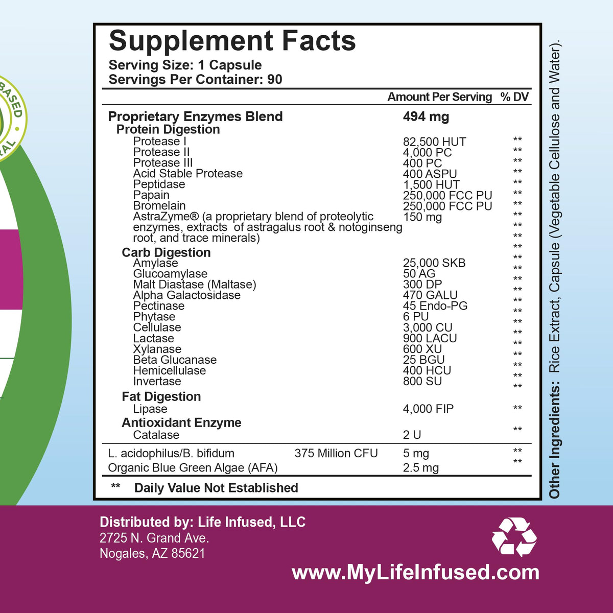 Life Infused Digestive Enzymes with Probiotics – 21 Plant-Based Enzymes with Bromelain, Papain, Amylase & Protease – Digestive Support for Gas & Bloating – - Maple Wellness Supplements