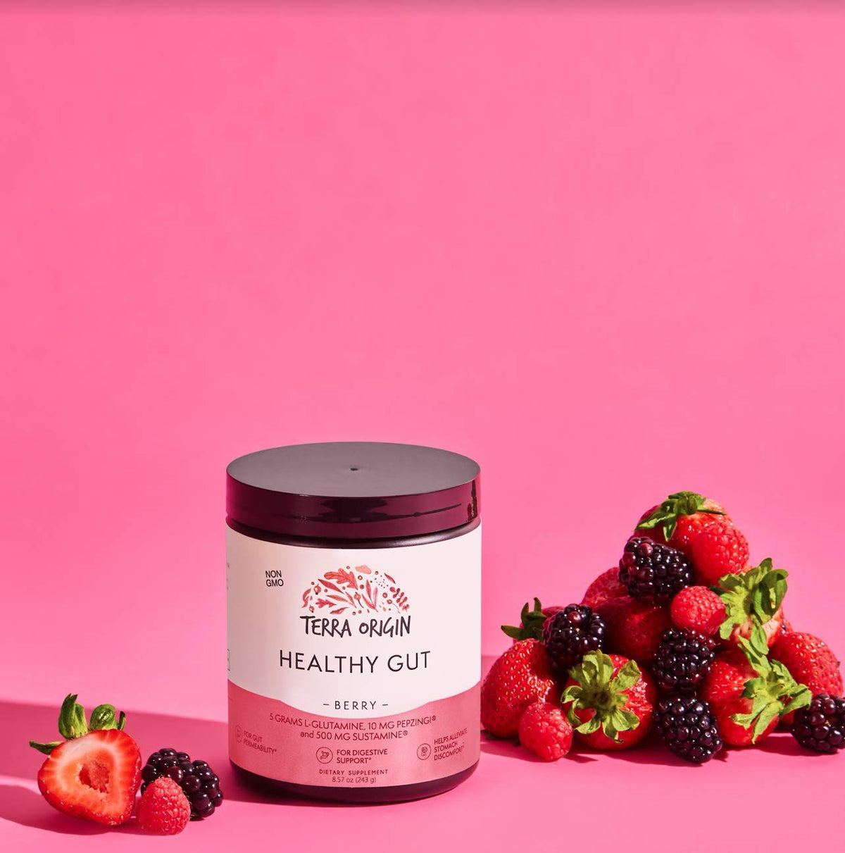 TERRA ORIGIN Healthy Gut Powder (Berry Flavor) |30-Servings with L-Glutamine, Zinc, Glucosamine, Slippery Elm Bark, Marshmallow Root and More! - OmniHealth US