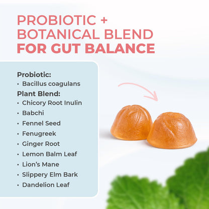 Nature’s NutriWave PrimeBiome Probiotic Gummies – Plant-Based Blend with Inulin, Lion’s Mane, Ginger & More– Non-GMO, No Stimulants, OmniHealth US