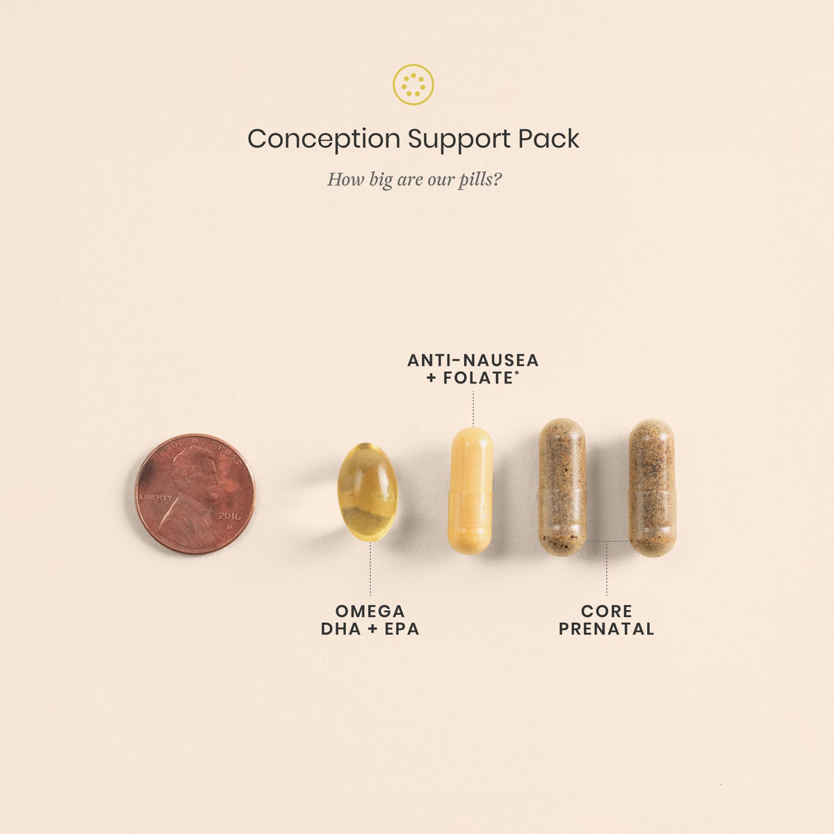 Perelel Conception Support Pack, Prenatal Multivitamin with DHA Omega 3, COQ10 & Folate, Supports Fertility Wellness for Women - OmniHealth US