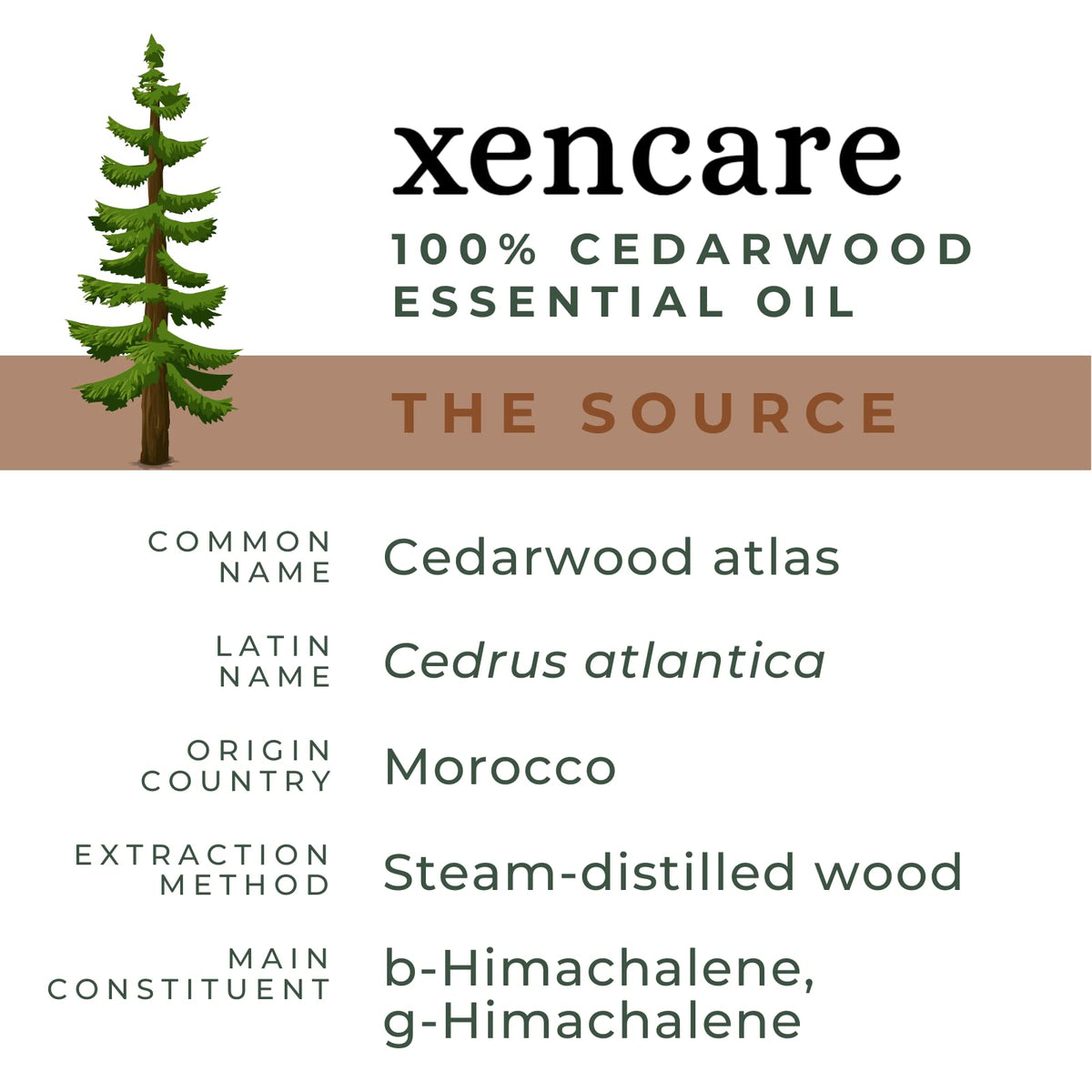 xencare Cedarwood USDA Organic Essential Oil | 100% Pure Natural Undiluted XenCareBuy Supplements Australia