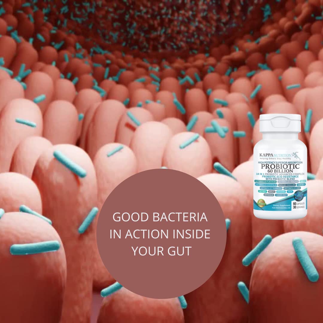 KAPPA NUTRITION Probiotic 60 Billion CFU 14 in 1 Formula with Prebiotics & Acidophilus for Women, Men & Adults, Shelf Stable, Acid Resistant - OmniHealth US