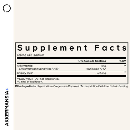 Codeage Akkermansia Muciniphila Probiotic Supplement - 3-Month Supply of Akkermansia & Chicory Inulin - Daily Synbiotic Probiotic Chicory Root - 100 Million AFUs - Gluten-Free - 90 Capsules - OmniHealth US