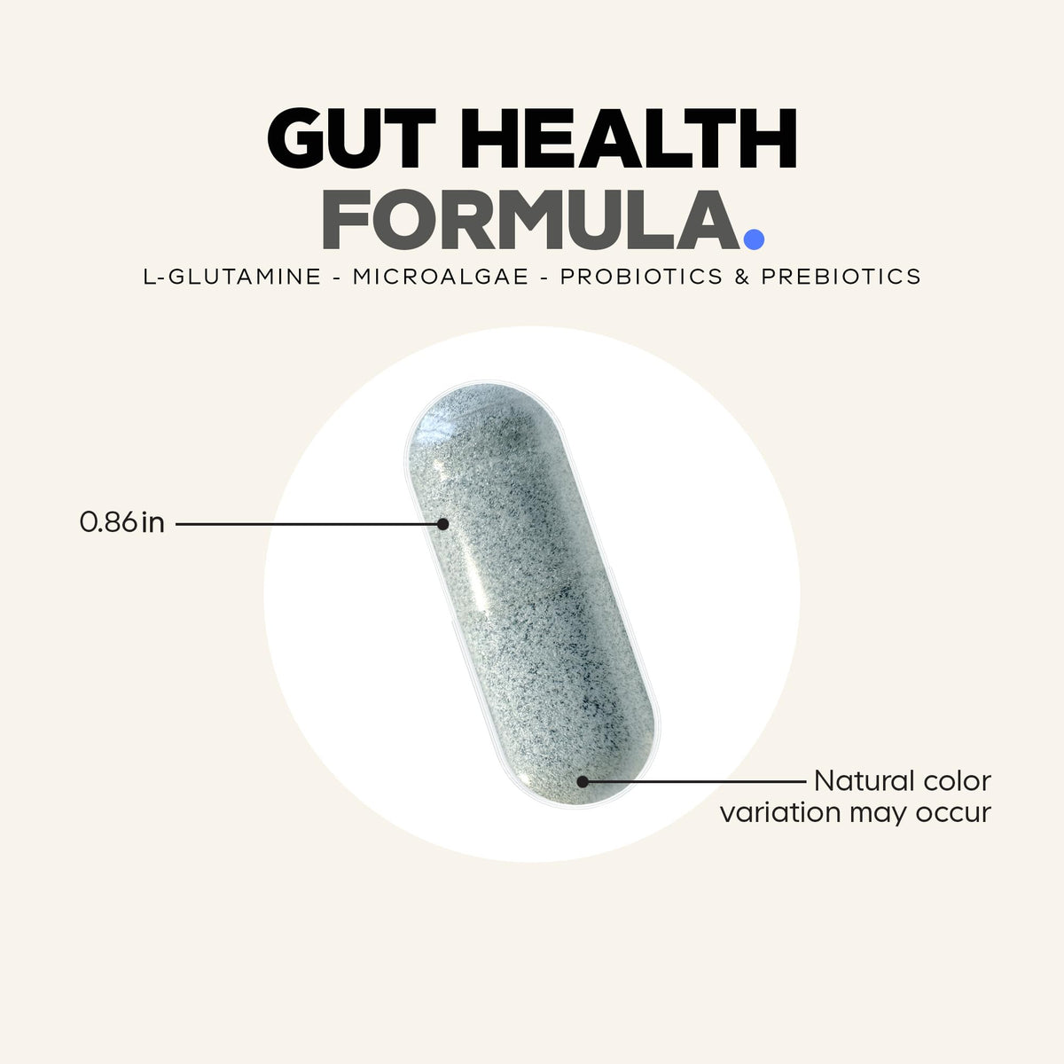 Codeage Gut Health Supplements Vegan Formula - L Glutamine, Zinc, Turkey Tail Mushroom Powder, Tonic Mushroom, Maitake, Micro Algae, Mineral, OmniHealth US