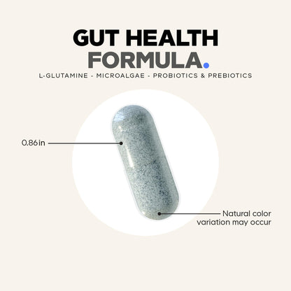 Codeage Gut Health Supplements Vegan Formula - L Glutamine, Zinc, Turkey Tail Mushroom Powder, Tonic Mushroom, Maitake, Micro Algae, Mineral, OmniHealth US