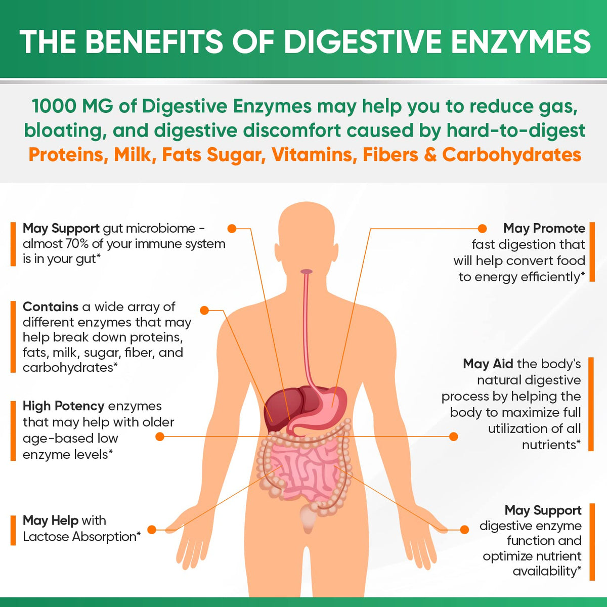 Wholesome Wellness Digestive Enzymes 1000MG Plus Prebiotics & Probiotics Supplement, 180 Capsules, Organic Plant-Based Vegan Formula for Digestion - OmniHealth US