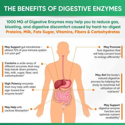 Wholesome Wellness Digestive Enzymes 1000MG Plus Prebiotics & Probiotics Supplement, 180 Capsules, Organic Plant-Based Vegan Formula for Digestion - OmniHealth US