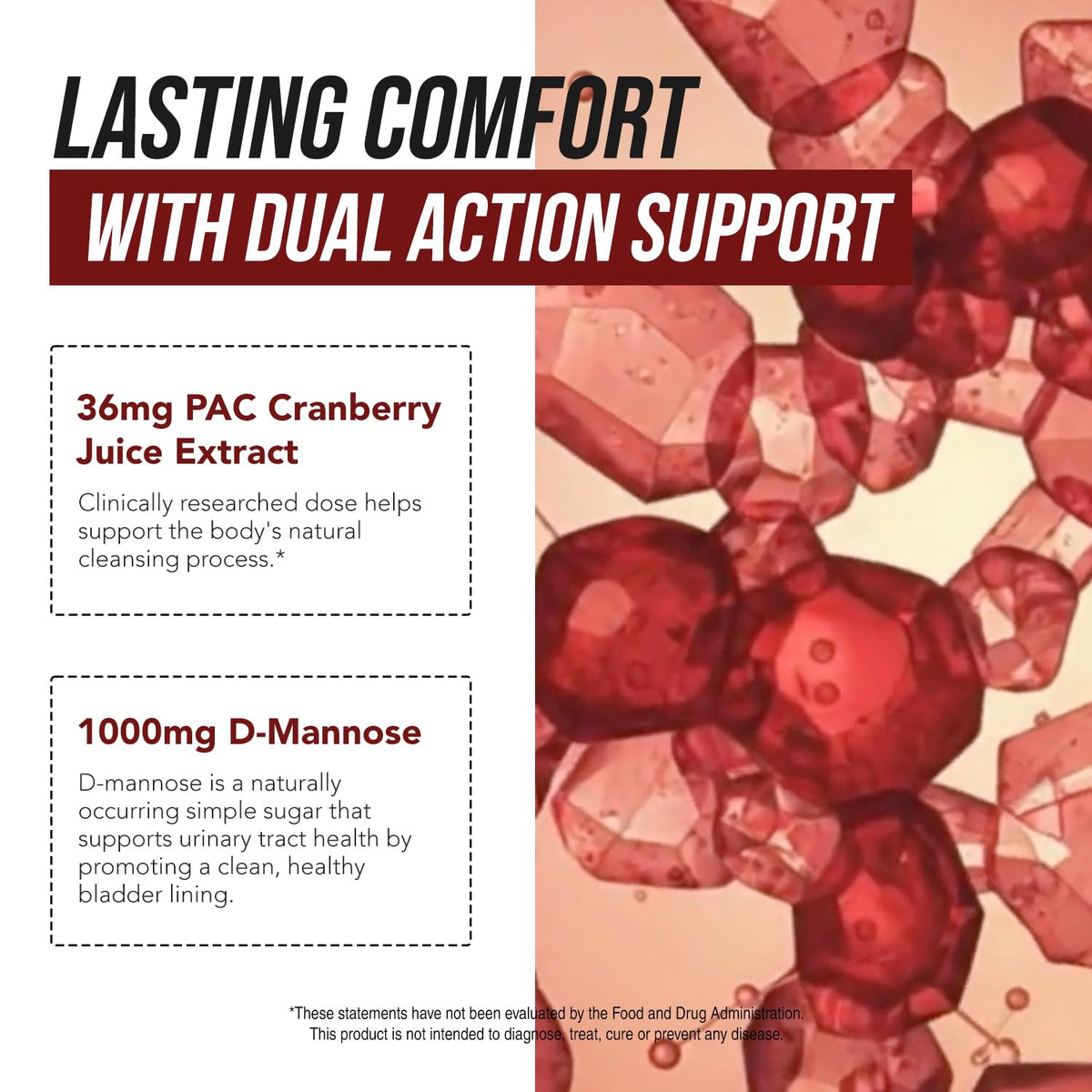 CranEaze®: Cranberry Juice Extract Plus D-Mannose – 36 mg PAC, 100% Soluble PAC - Supports Urinary Tract Health – Most Effective Cranberry Pills for Women, OmniHealth US