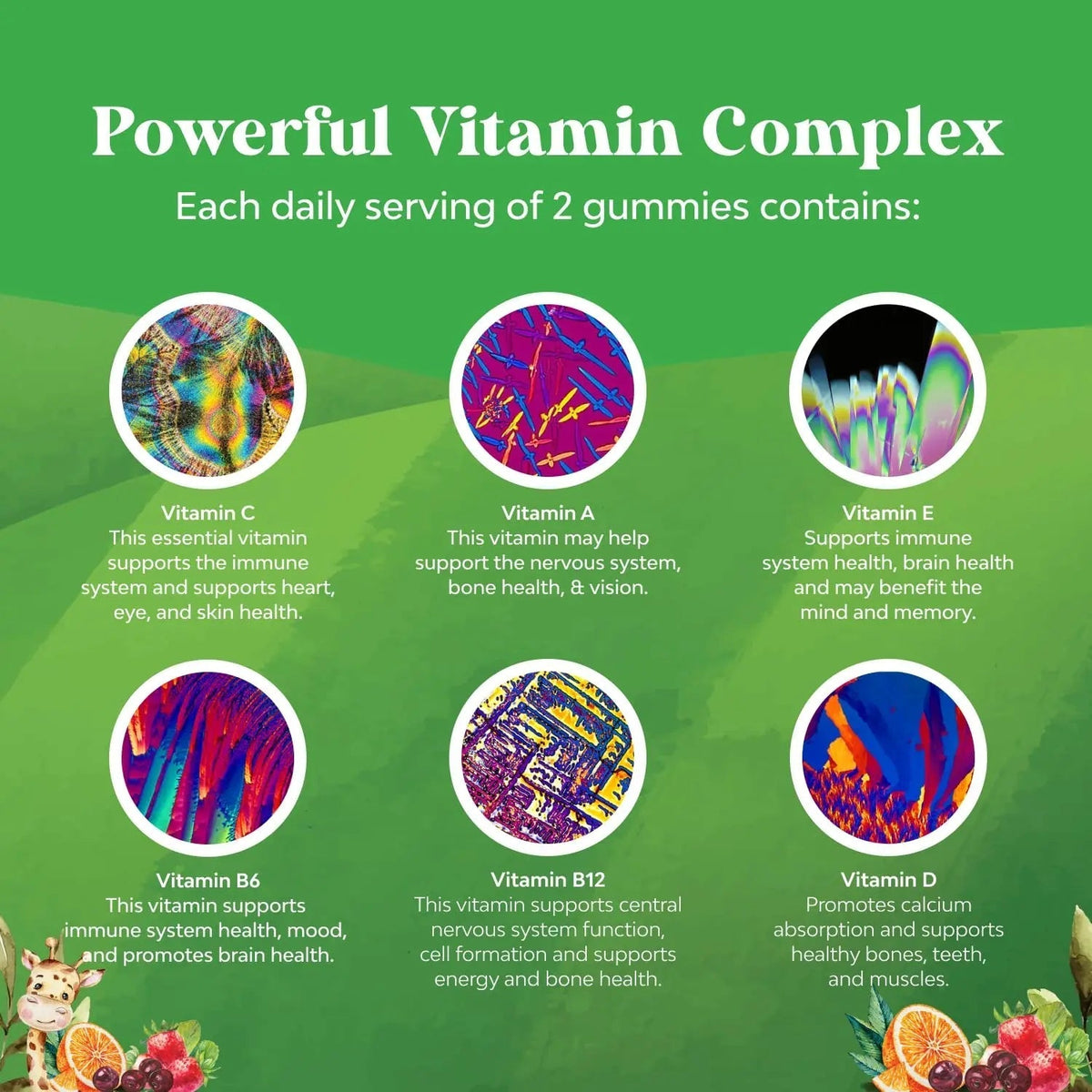 Bundle of Plant Based Kids Multivitamin Gummies with Vitamins A C D3 E B Zinc and DHA Omega 3 Gummies with Vegetarian 6 9 for Vision Brain Immunity Support Natures CraftBuy Supplements Australia