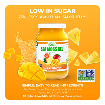 EverSmith Organics - Wildcrafted Irish Sea Moss Gel | Made in USA | Rich in Vitamins & Minerals | Sea Moss Gel Raw - OmniHealth US