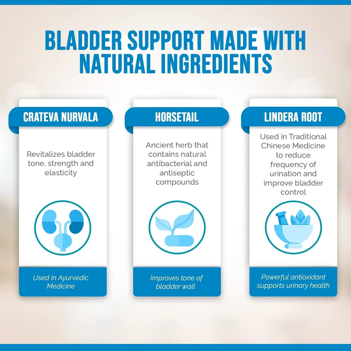 Better Bladder Control Supplement for Women & Men – Bladder Support Supplement to Help Reduce Urinary Leaks, Frequency & Urgency - 60 Count (1 Bottle) Better BladderBuy Supplements Australia