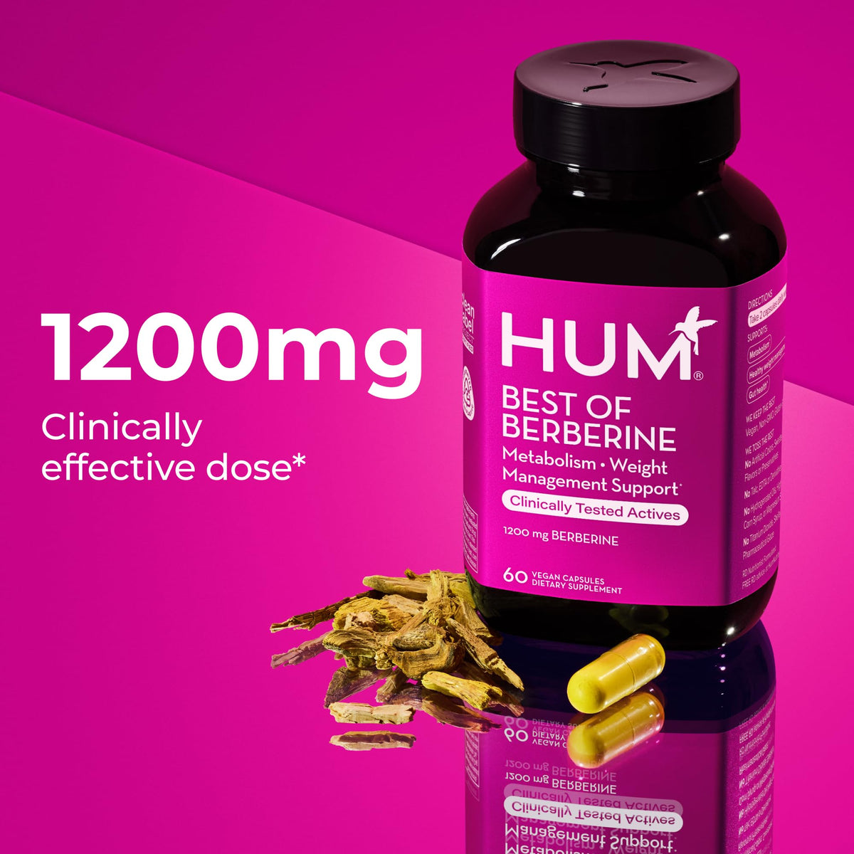 HUM Best of Berberine Supplement 1200mg, Pure Potency for Metabolic Wellness, Gut Health, Pure Berberine Supplements Enhanced - OmniHealth US