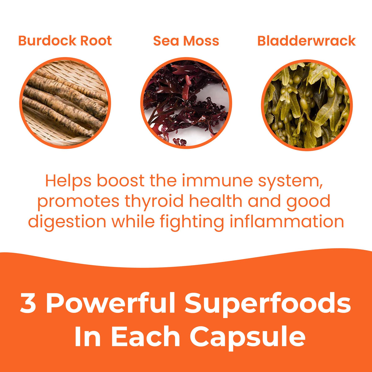INFINITE AGE 1250mg Sea Moss Advanced Superfood Capsules, 60 Count - High-Potency, Vegan, Made in The USA - Irish Seamoss, Bladderwrack, OmniHealth US