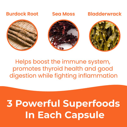 INFINITE AGE 1250mg Sea Moss Advanced Superfood Capsules, 60 Count - High-Potency, Vegan, Made in The USA - Irish Seamoss, Bladderwrack, OmniHealth US