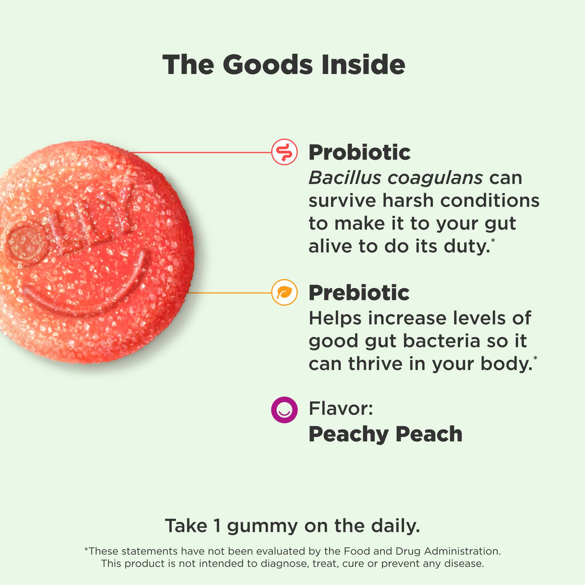 OLLY Probiotic + Prebiotic Gummy, Digestive Support and Gut Health, 500 Million CFUs, Fiber, Adult Chewable Supplement - OmniHealth US