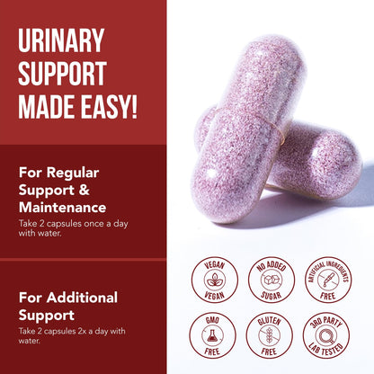 CranEaze®: Cranberry Juice Extract Plus D-Mannose – 36 mg PAC, 100% Soluble PAC - Supports Urinary Tract Health – Most Effective Cranberry Pills for Women, OmniHealth US