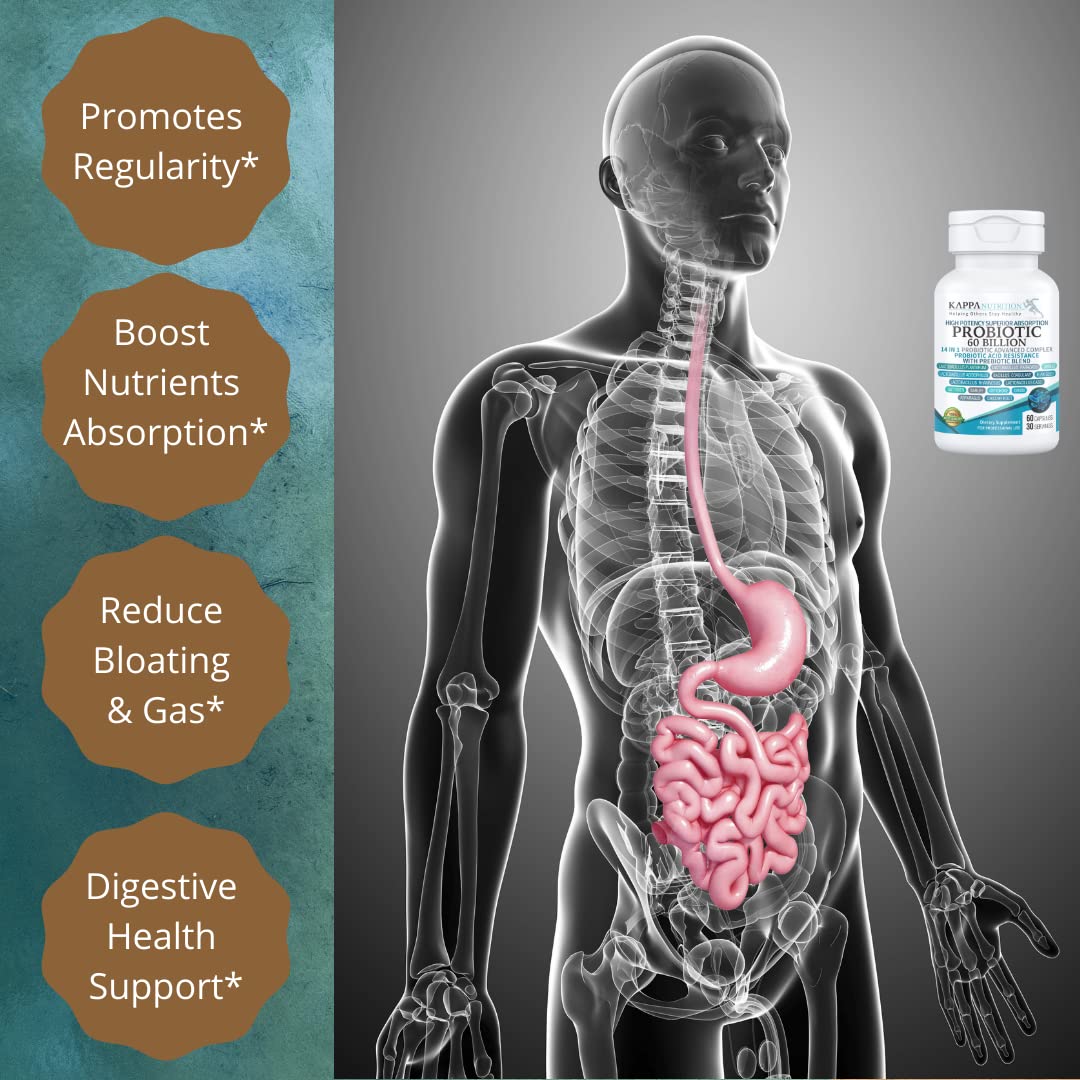 KAPPA NUTRITION Probiotic 60 Billion CFU 14 in 1 Formula with Prebiotics & Acidophilus for Women, Men & Adults, Shelf Stable, Acid Resistant - OmniHealth US