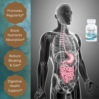 KAPPA NUTRITION Probiotic 60 Billion CFU 14 in 1 Formula with Prebiotics & Acidophilus for Women, Men & Adults, Shelf Stable, Acid Resistant - OmniHealth US