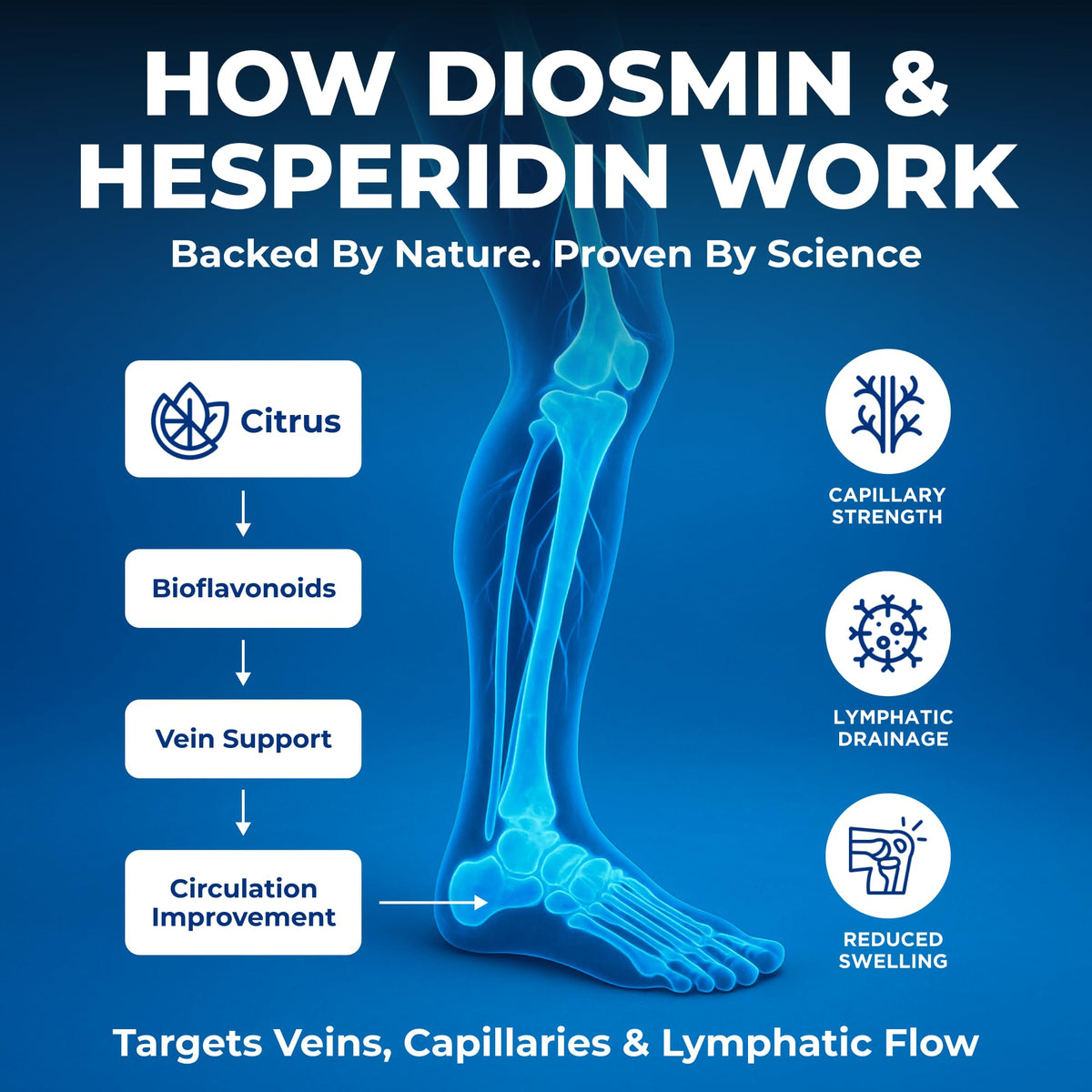 We Like Vitamins Diosmin Hesperidin 1000mg – 180 Capsules – 90 Day Supply - Diosmin and Hesperidin Supplement – Helps to Support Healthy Circulation, OmniHealth US
