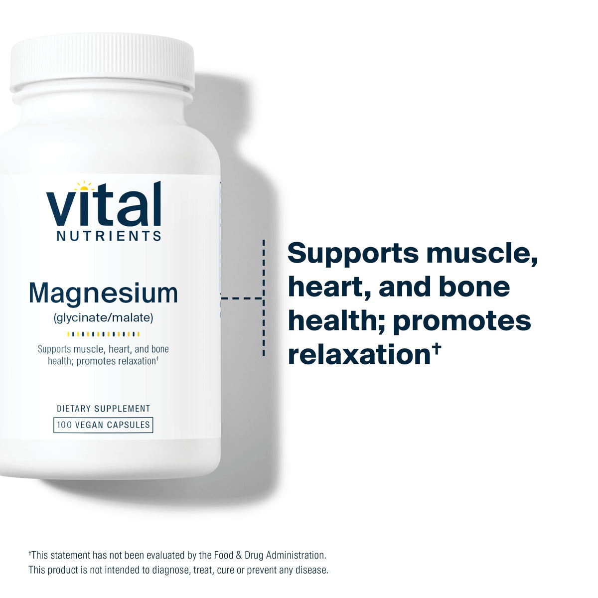 Vital Nutrients Magnesium Glycinate + Malate - 120mg Vegan Magnesium Supplement for Women and Men - Muscle, Heart, Bone Support* - Promotes Relaxation - OmniHealth US