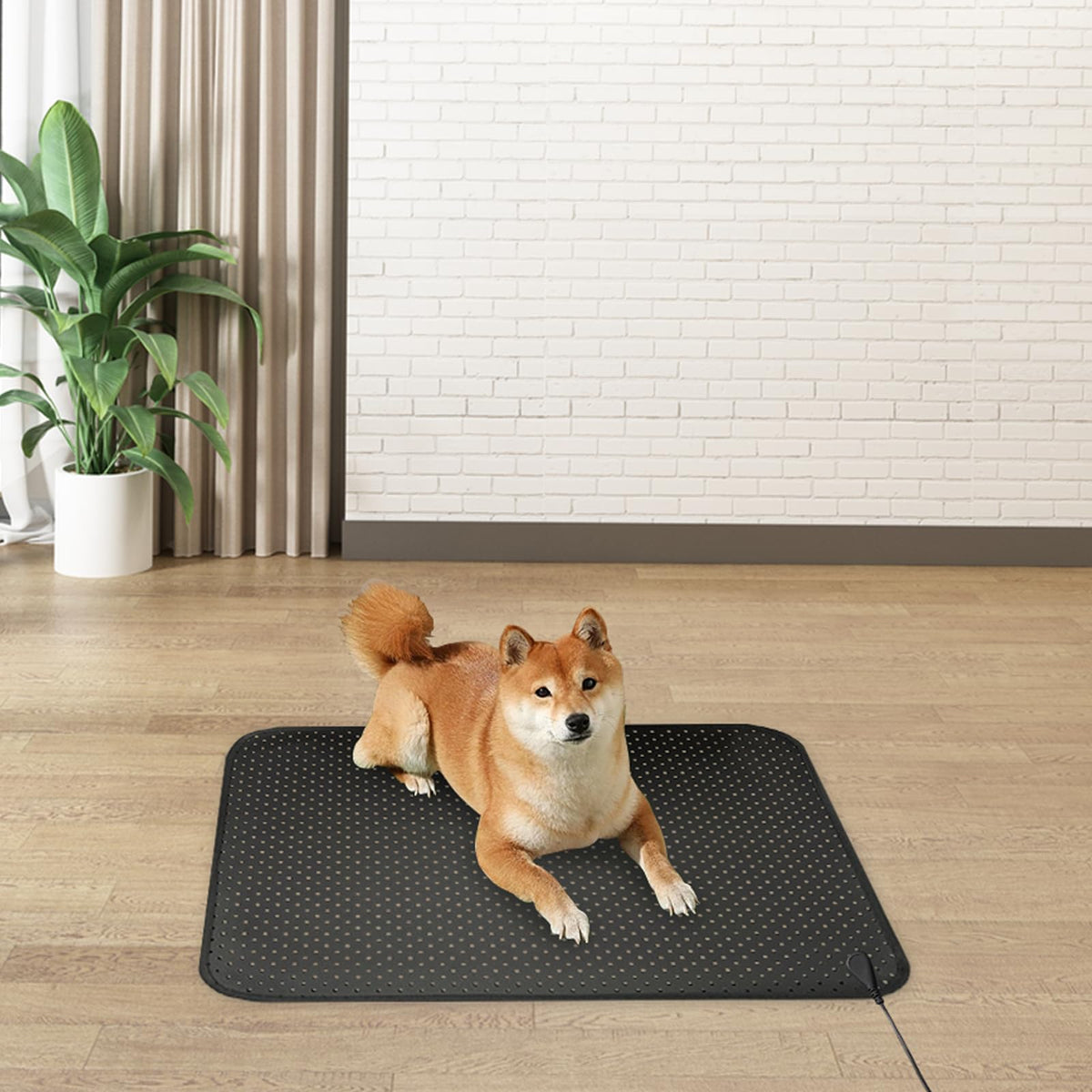EOHELGRO Grounding Mat, Earth Grounding Mat for Sleeping, Earth Mat Grounding Pad for Energy EOHELGROBuy Supplements Australia