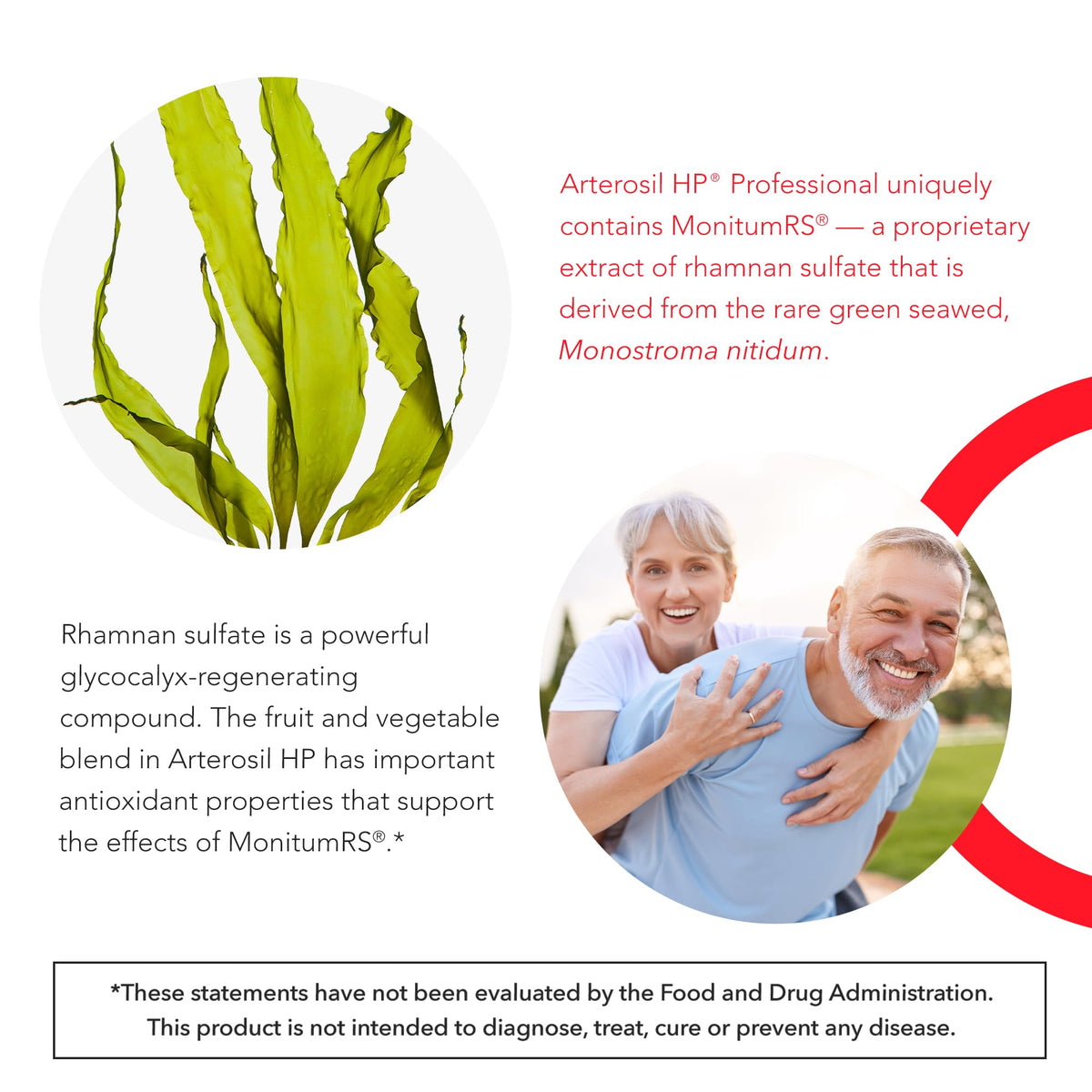 Calroy Health Sciences Arterosil HP Professional - Endothelial Glycocalyx Support - Heart Health Support - Artery Health Support - Circulation Support – MonitumRS - OmniHealth US