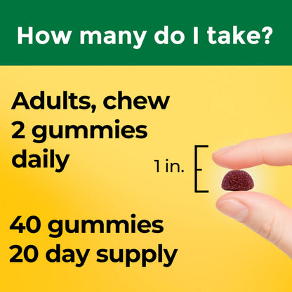 Nature Made High Absorption Magnesium Glycinate Gummies 100 mg per Serving, Muscle, Nerve, Bone and Heart Support - OmniHealth US