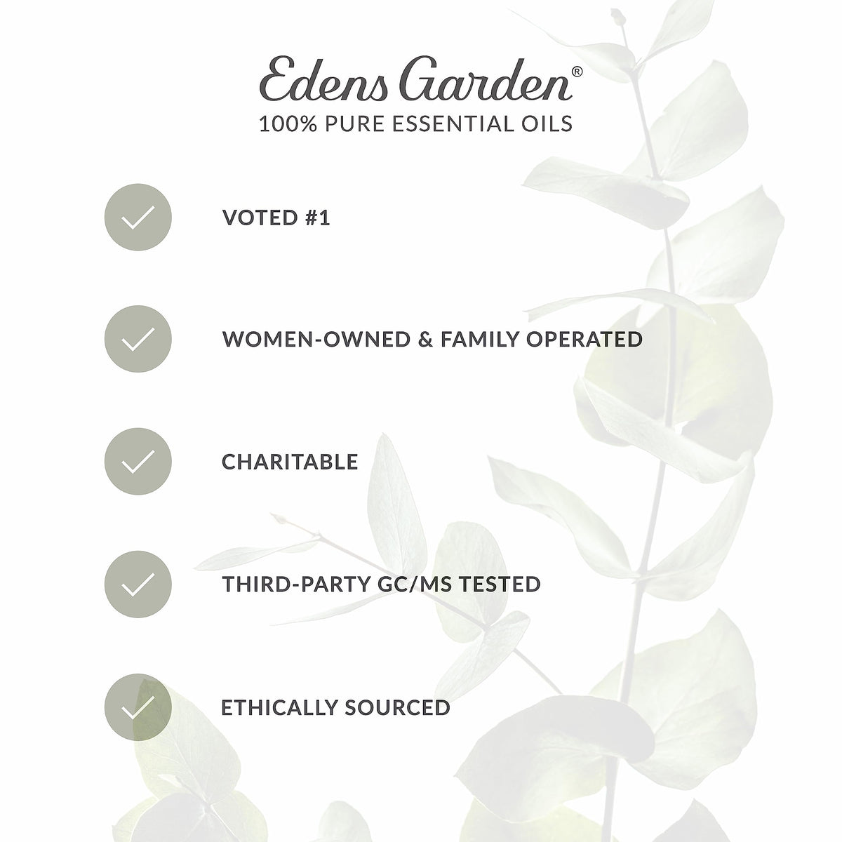 Edens Garden Digest Ease Essential Oil Synergy Blend, 100% Pure Therapeutic Grade Edens GardenBuy Supplements Australia