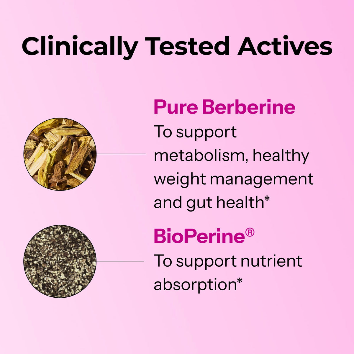 HUM Best of Berberine Supplement 1200mg, Pure Potency for Metabolic Wellness, Gut Health, Pure Berberine Supplements Enhanced - OmniHealth US