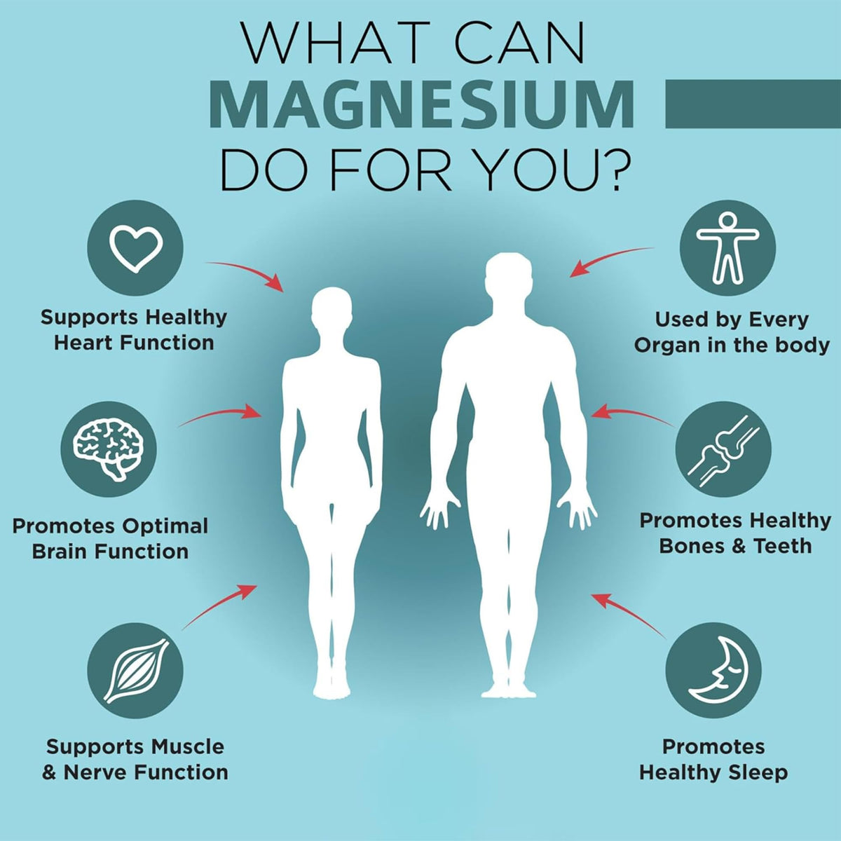 OmniBiotics Magnesium Glycinate Supplement – with 100% Pure Albion TRAACS Bisglycinate Chelate for Sleep, Muscle - OmniHealth US