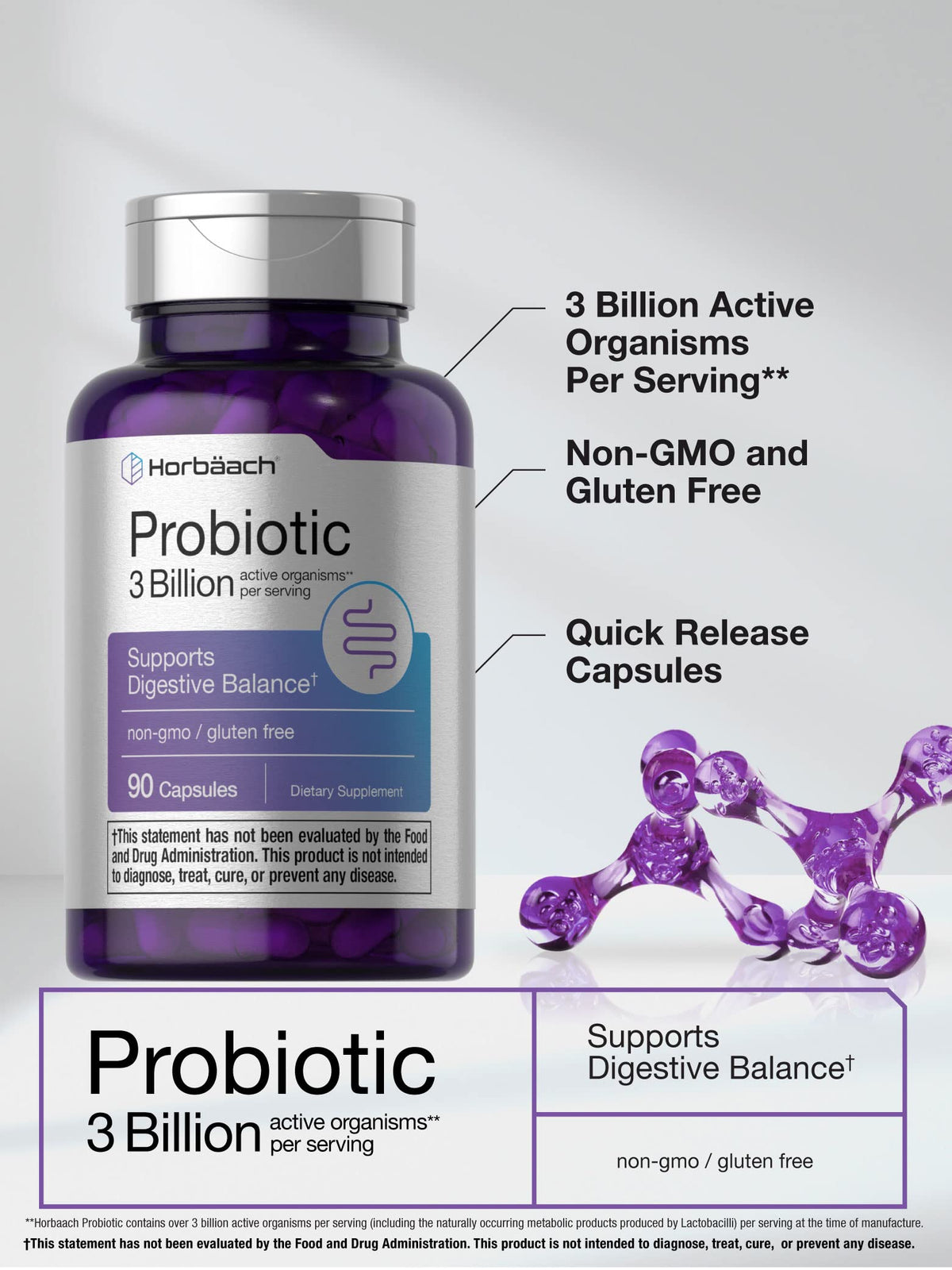 Probiotic for Women & Men's Digestive Health | 3 Billion CFU | 90 Capsules | Non-GMO HorbäachBuy Supplements Australia
