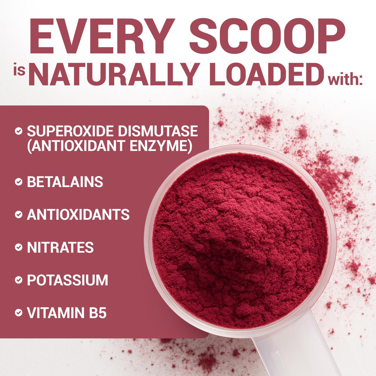 Dr. Berg Raw Organic Beet Powder from Real Earth-Grown Beets – USDA Certified Organic Beet Root Powder to Support Nitric Oxide Levels, Energy - OmniHealth US