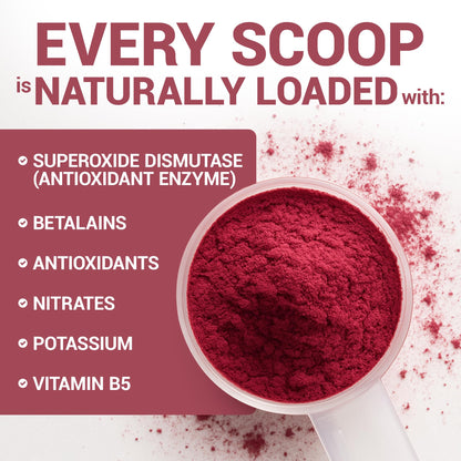 Dr. Berg Raw Organic Beet Powder from Real Earth-Grown Beets – USDA Certified Organic Beet Root Powder to Support Nitric Oxide Levels, Energy - OmniHealth US
