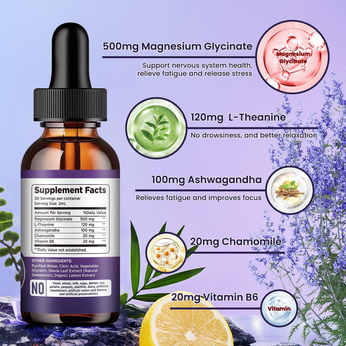 Magnesium Glycinate Supplement, Magnesium Liquid Drops with Magnesium Glycinate 500mg Vitamin B6, Ashwagandha, L - Theanine, Chamomile - OmniHealth US