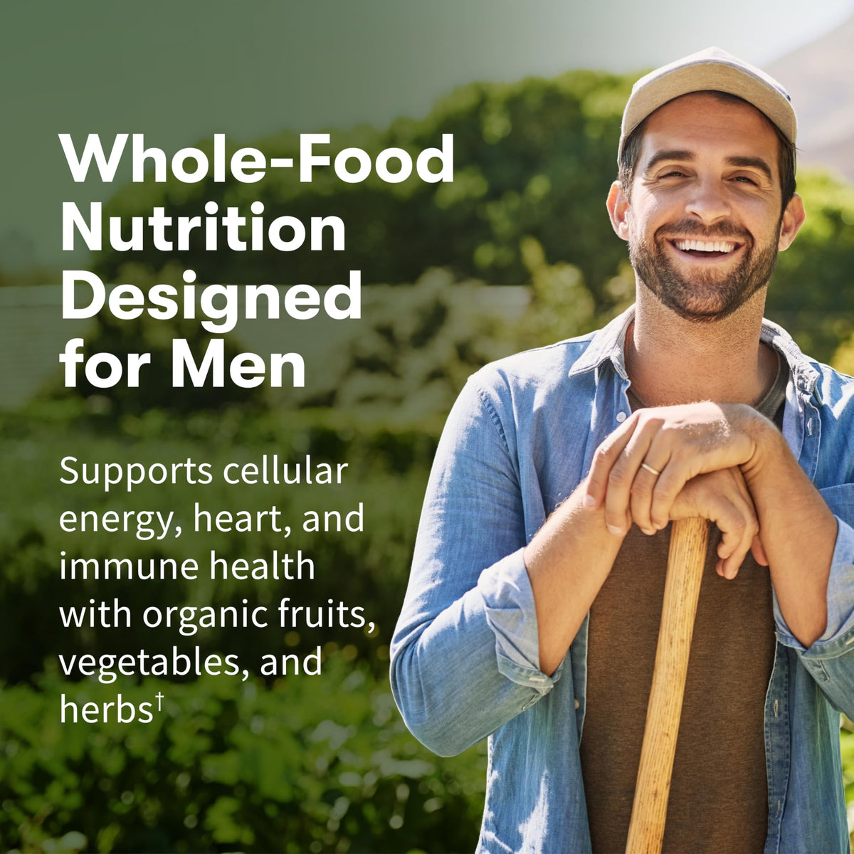 Garden of Life Once Daily Whole Food Multivitamin for Men, Organic Mens Vitamins & Minerals, Vitamin C, Zinc, Vegan, for Health & Well-Being, 60 Tablets - OmniHealth US