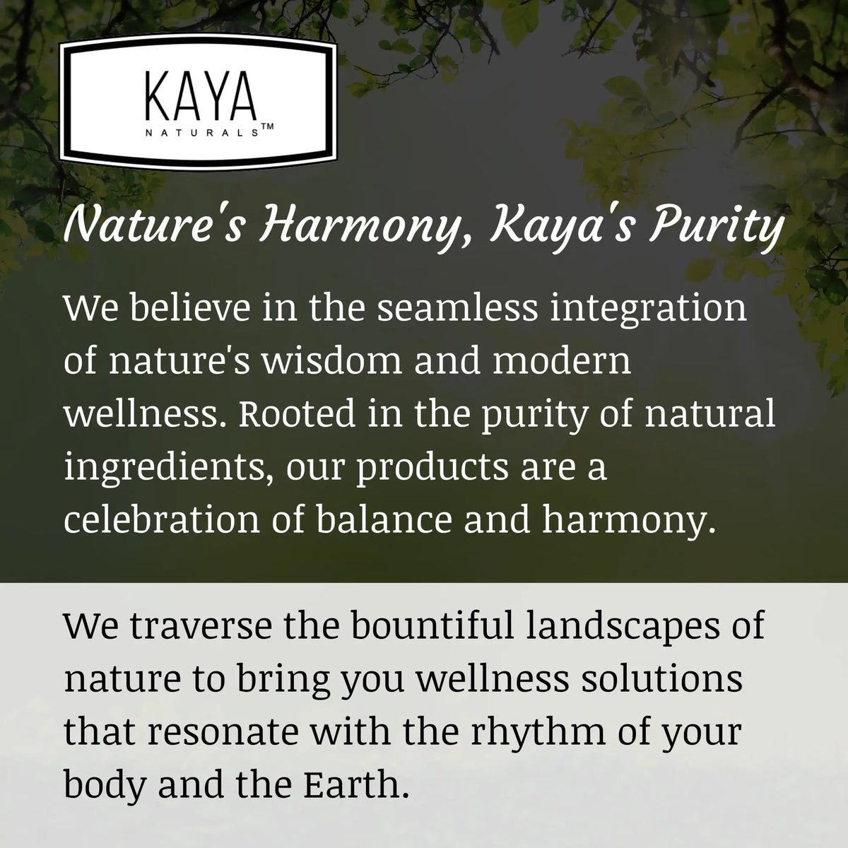Kaya Naturals Moringa Leaf Extract - Complete Greens Superfood Supplement - Pure Miracle Tree Moringa - Boost Energy Naturally Kaya NaturalsBuy Supplements Australia