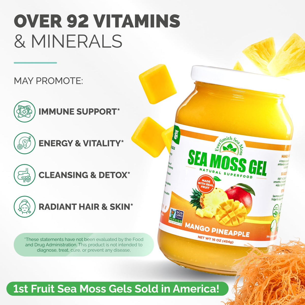 EverSmith Organics - Wildcrafted Irish Sea Moss Gel | Made in USA | Rich in Vitamins & Minerals | Sea Moss Gel Raw - OmniHealth US