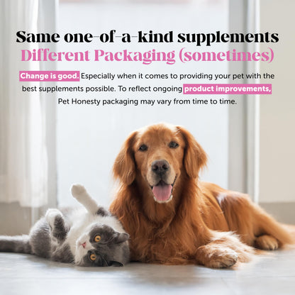 Senior Hemp Hip and Joint Supplement for Dogs - Glucosamine Chondroitin, MSM & Green Lipped Mussel - Relief for Joint Stiffness, Advanced Strength Mobility Support for Senior Dogs (Chicken, 90 Ct) Pet HonestyBuy Supplements Australia
