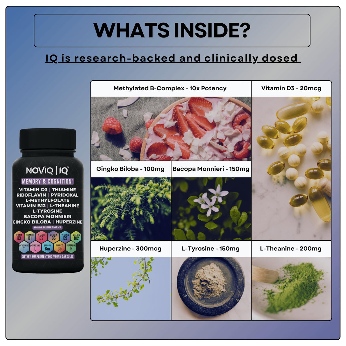11-in-1 Supplement: Supports Memory & Cognition - 100mg Ginkgo 150mg Bacopa 300mcg Huperzine 200mg L-Theanine 150mg L-Tyrosine & Bioactive B-Complex - OmniHealth US