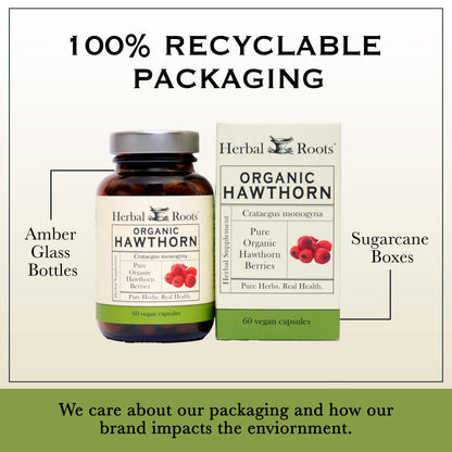 Herbal Roots Organic Hawthorn Berry Capsules | Extra Strength 1,200mg per Serving | 60 Vegan Capsules - OmniHealth US
