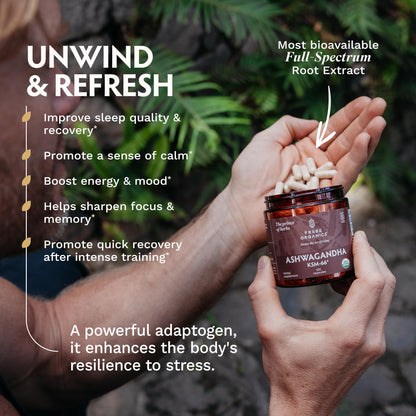 TRIBE ORGANICS Ashwagandha KSM 66 Pure Organic Root Powder Extract Ayurvedic Supplement - Focus, Mood Support, Increase Energy, Strength, 600mg of Natural KSM66 - OmniHealth US