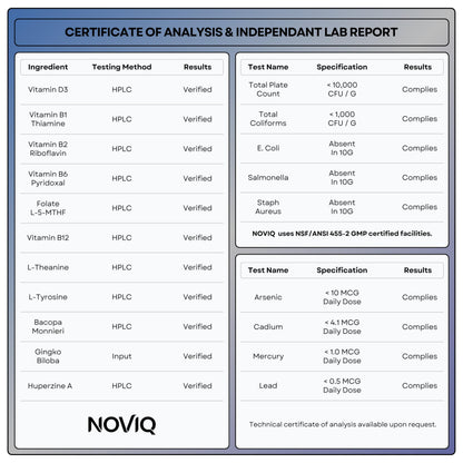11-in-1 Supplement: Supports Memory & Cognition - 100mg Ginkgo 150mg Bacopa 300mcg Huperzine 200mg L-Theanine 150mg L-Tyrosine & Bioactive B-Complex - OmniHealth US