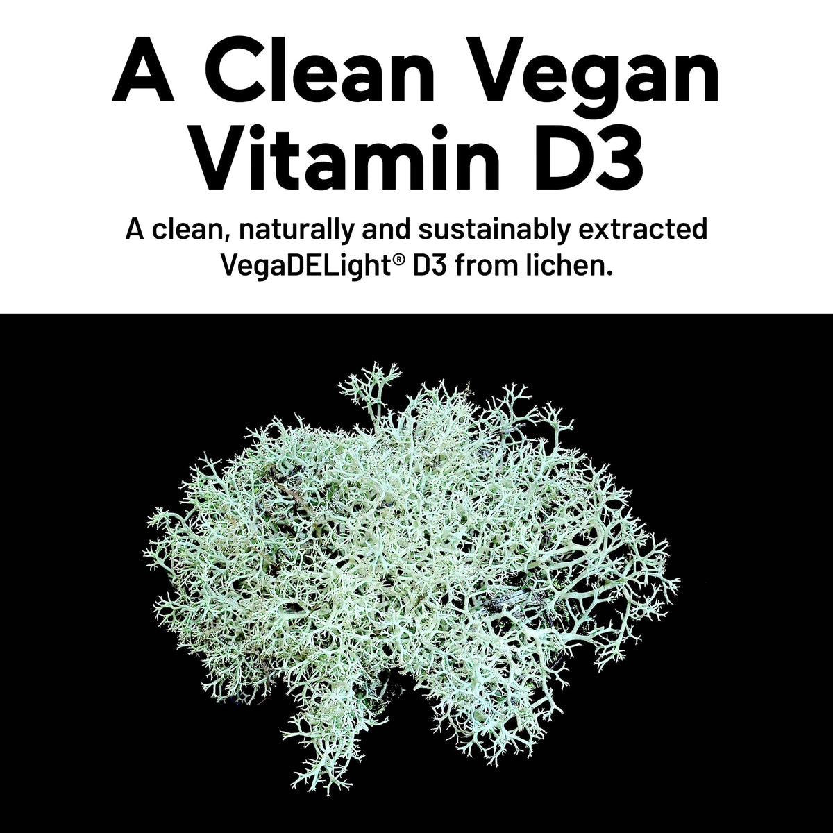SMARTERNUTRITION Vegan Vitamin D3 5000 IU + Natural Vitamin K2 1100 mcg in Organic Coconut & Olive Oil - D3 K2 Supplement for Immune & Bone Support - OmniHealth US